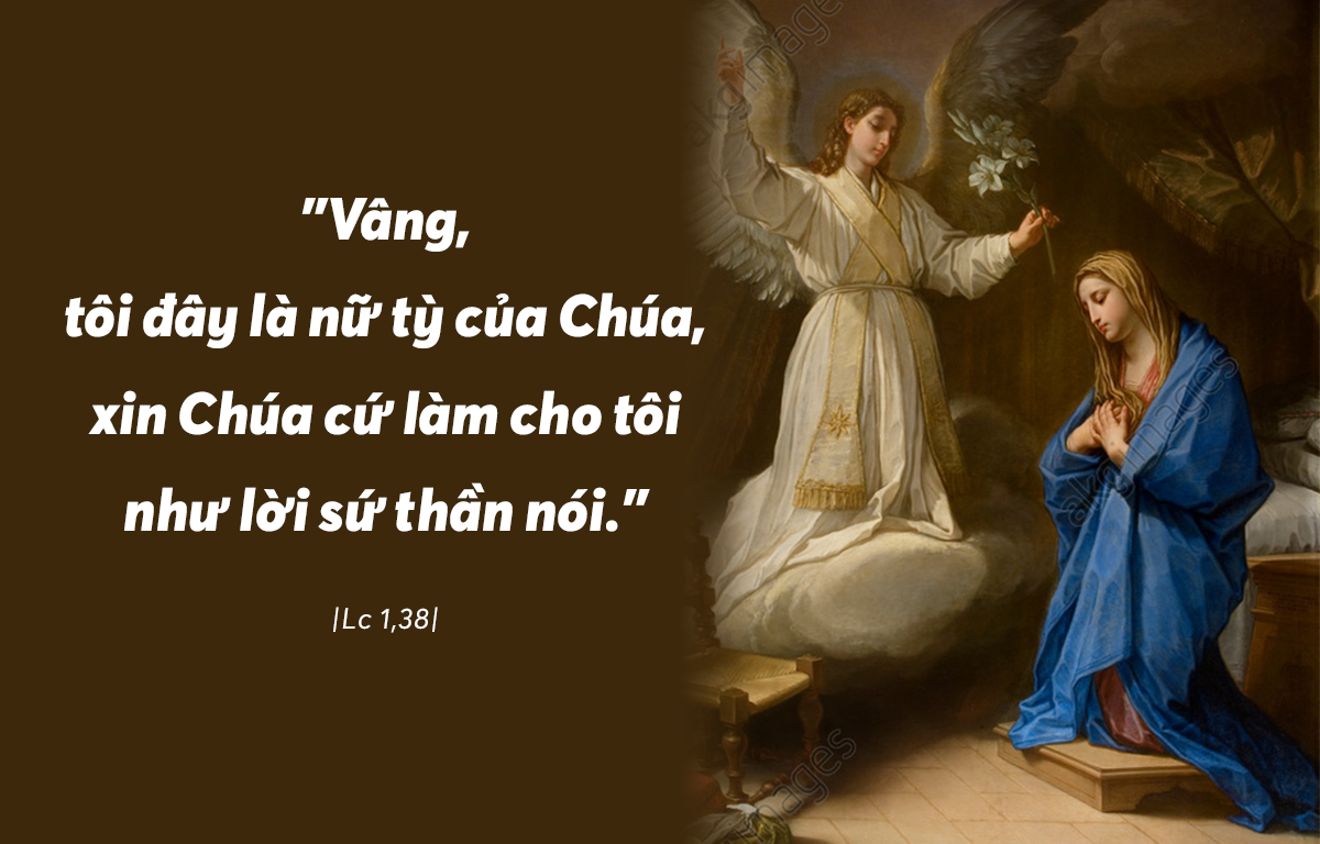 SUY NIỆM LỜI CHÚA CHÚA NHẬT 4 MÙA VỌNG NĂM B – Giao Xu Thien An