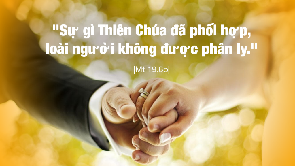 SUY NIỆM LỜI CHÚA THỨ SÁU TUẦN 19 MÙA THƯỜNG NIÊN. – GIÁO XỨ THIÊN ÂN